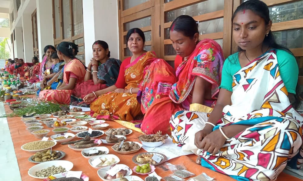 গ্রামীণ বীজমেলা, অর্ধশতাধিক নারী কৃষকের দেশীয় বিলুপ্ত বীজের প্রদর্শনী
