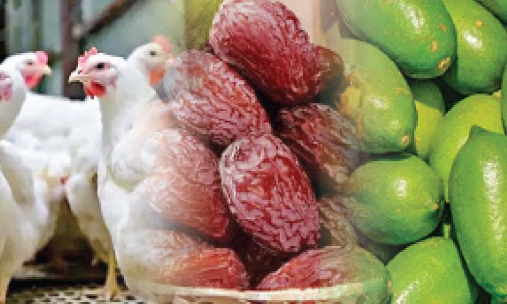 রোজার বাজারে চেনা সিন্ডিকেট সক্রিয়, সব পণ্যের দাম চড়া