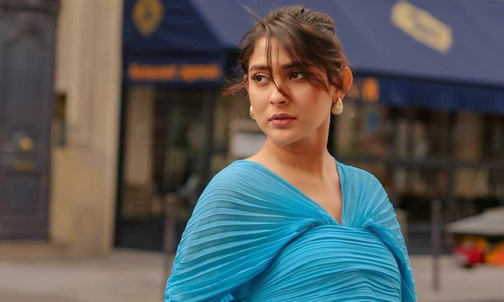 ১৪ বোতল মদসহ আটকের ঘটনায় মুখ খুললেন মেহজাবীন