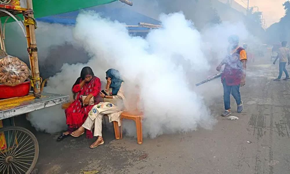 যে ৩ কারণে মশার উপদ্রব বেড়েছে: কীটতত্ত্ববিদের ব্যাখ্যা