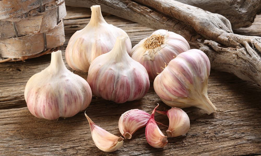 দাসদের খাবার থেকে রাজকীয় পাতে, রসুনের হাজার বছরের বিবর্তন