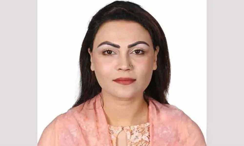 সুশীলরা কেন দেশ পরিচালনায় ব্যর্থ হয়?