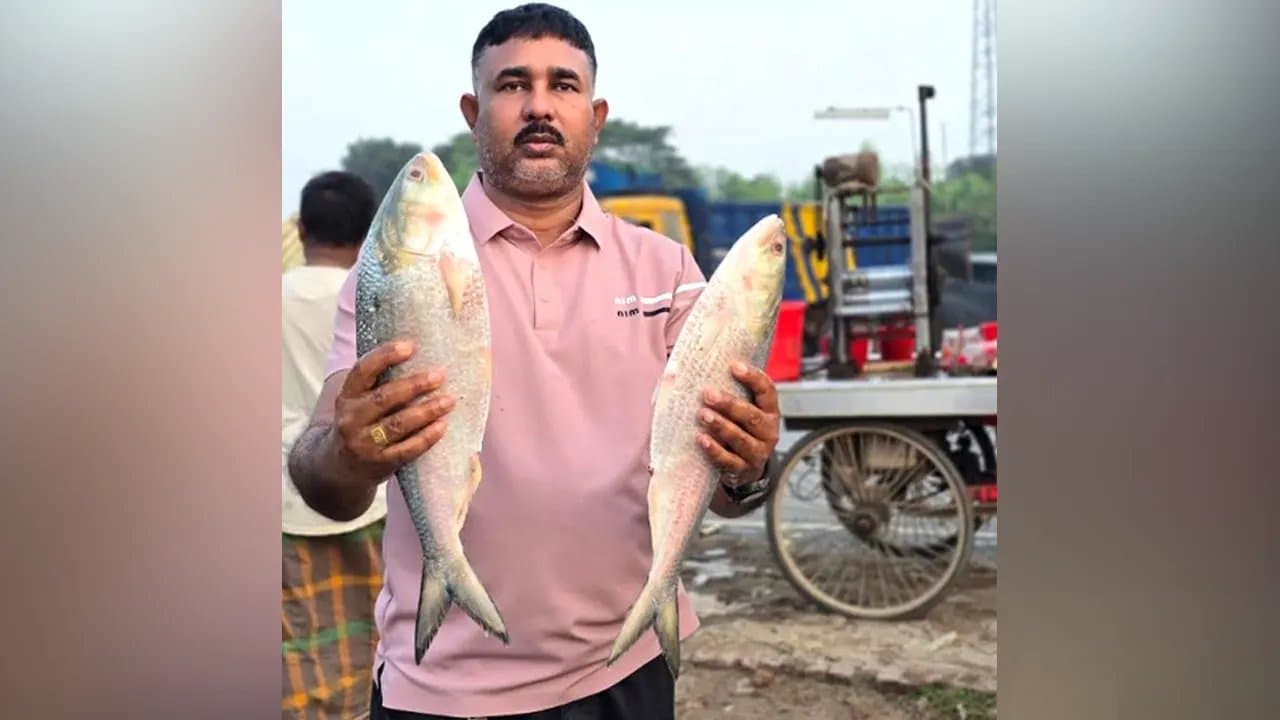 পদ্মার ২ ইলিশ ১০ হাজার টাকায় বিক্রি