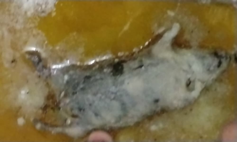 বেকারির ডালডার মধ্যে মিলল মরা ইঁদুর