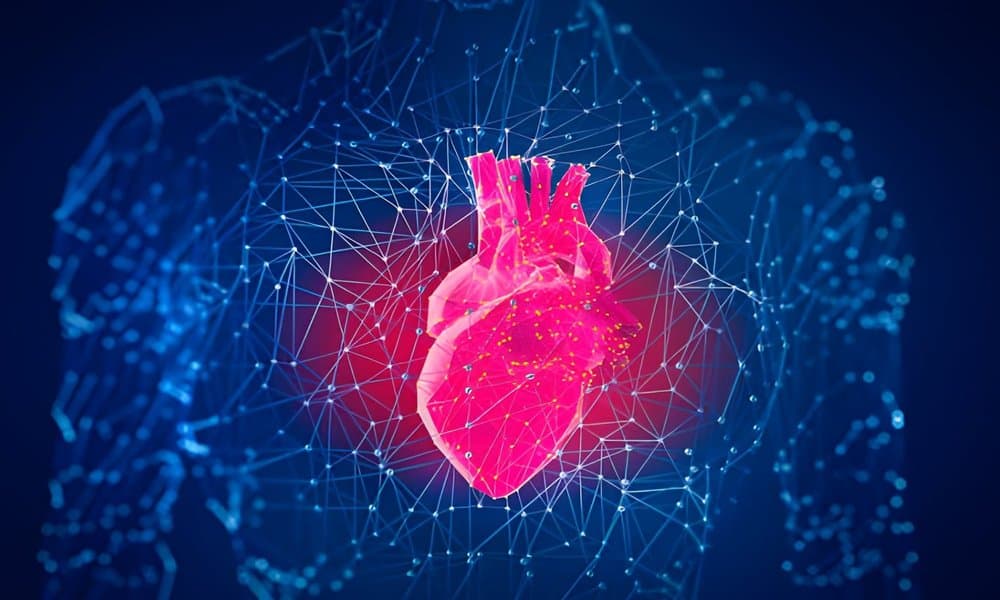 পরিশুদ্ধ অন্তর লাভের চারটি কার্যকর উপায়