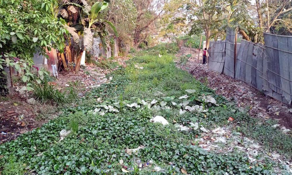 শ্যামাসুন্দরী ও কেডি খাল ঘিরে মশার উপদ্রব, বাড়ছে রোগঝুঁকি