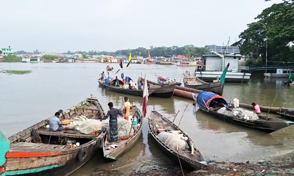 মেঘনা নদীতে মার্চ-এপ্রিল সব ধরনের মাছ ধরা নিষিদ্ধ করেছে সরকার