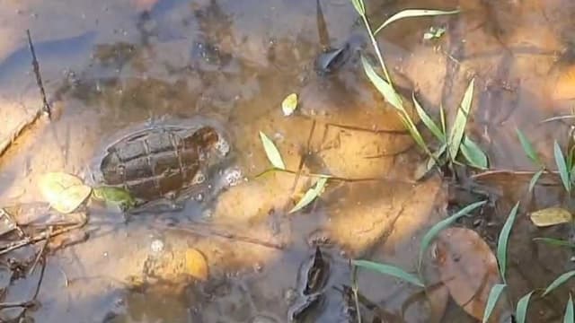 কমলগঞ্জের জলাশয়ে পাওয়া গেল গ্রেনেড