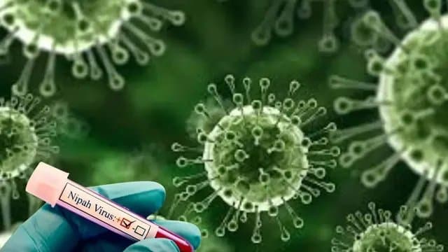 হঠাৎ নিপা ভাইরাস আতঙ্ক: দোরগোড়ায় টি-টোয়েন্টি বিশ্বকাপ, ভারতে আয়োজন নিয়ে প্রশ্ন